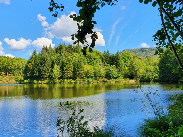 Étang Le Grand Rosbeck à Melisey - Plateau des 1000 Étangs - Vosges du Sud