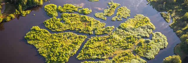 Vue aérienne du Plateau des 1000 Étangs dans les Vosges du Sud