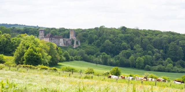 Vue panoramique sur château d'Oricourt et les paysages alentours, avec forêts et champs - Vallée de l'Ognon