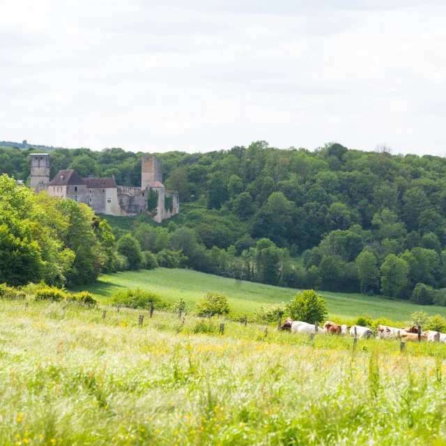 Vue panoramique sur château d'Oricourt et les paysages alentours, avec forêts et champs - Vallée de l'Ognon