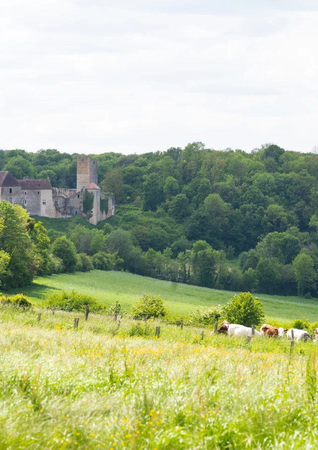 Vue panoramique sur château d'Oricourt et les paysages alentours, avec forêts et champs - Vallée de l'Ognon