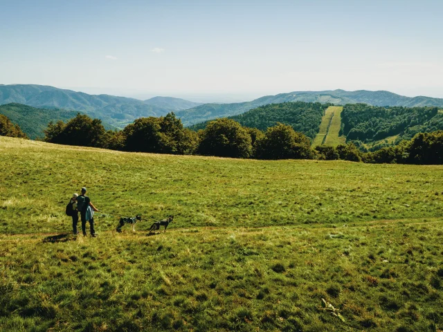 Un couple de randonneurs au Ballon d'Alsace - Vosges du Sud