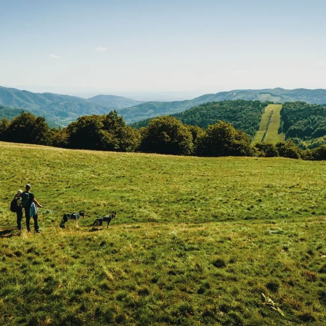 Un couple de randonneurs au Ballon d'Alsace - Vosges du Sud