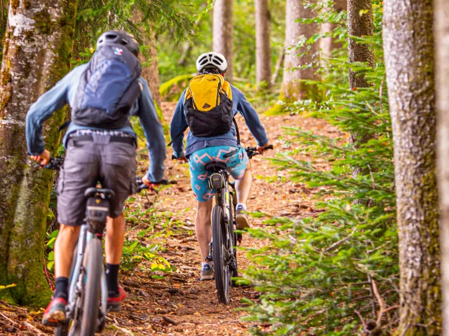 VTT dans la forêt sur le Plateau des 1000 Étangs - Vosges du Sud