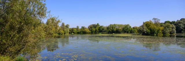 3 canoës avancent en arrière-plan sur la rivière Ognon sous un beau soleil - Vallée de l'Ognon