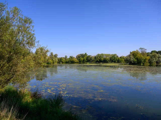 3 canoës avancent en arrière-plan sur la rivière Ognon sous un beau soleil - Vallée de l'Ognon