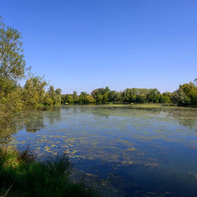 3 canoës avancent en arrière-plan sur la rivière Ognon sous un beau soleil - Vallée de l'Ognon