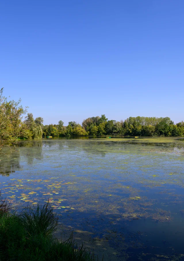 3 canoës avancent en arrière-plan sur la rivière Ognon sous un beau soleil - Vallée de l'Ognon