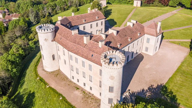 Vue aérienne du château de Ray-sur-Saône et de son parc - Vesoul-Val de Saône