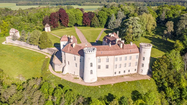 Vue aérienne du château de Ray-sur-Saône et de son parc - Vesoul-Val de Saône