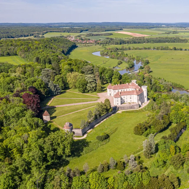 Vue aérienne du château de Ray-sur-Saône avec la Saône en arrière-plan - Vesoul-Val de Saône