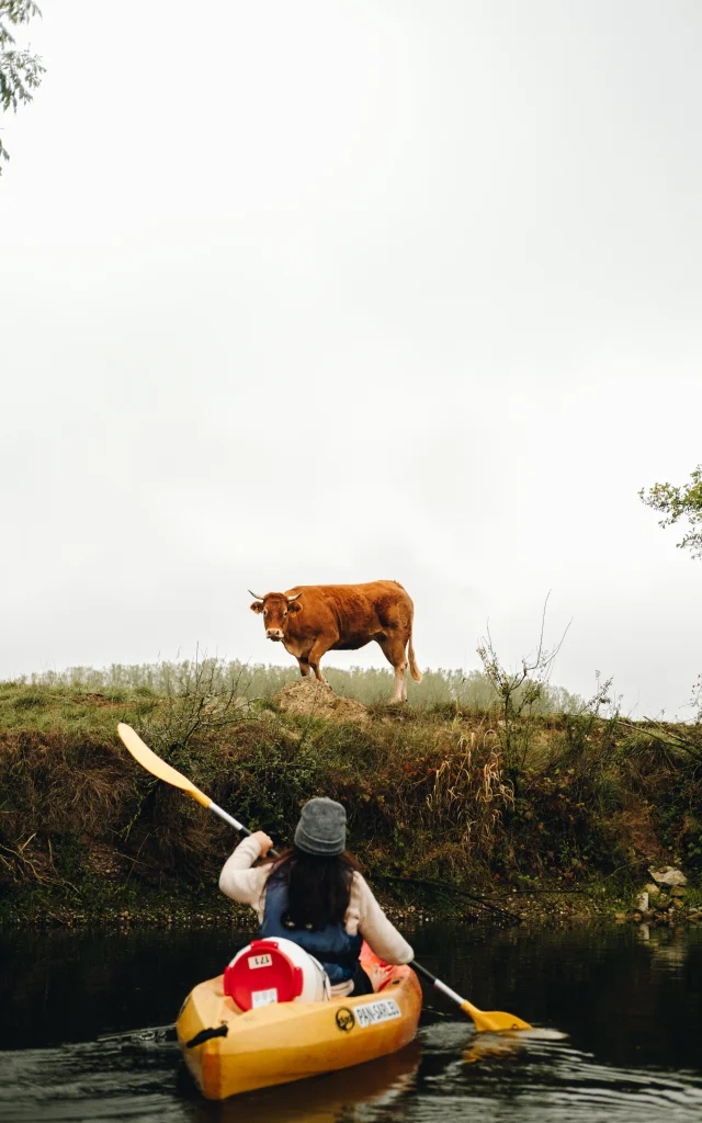 A l'automne, une femme descend la rivière Ognon en canoë et une vache l'observe en arrière-plan - Vallée de l'Ognon