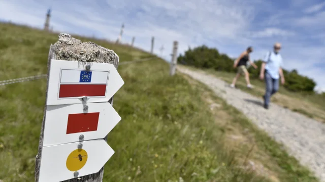 Balisages des circuits de randonnée au sommet du Ballon d'Alsace avec un couple de randonneurs dans le fond - Vosges du Sud