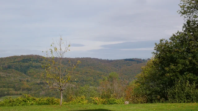 Vue de la Chapelle Notre-Dame du Haut à Ronchamp - Vosges du Sud