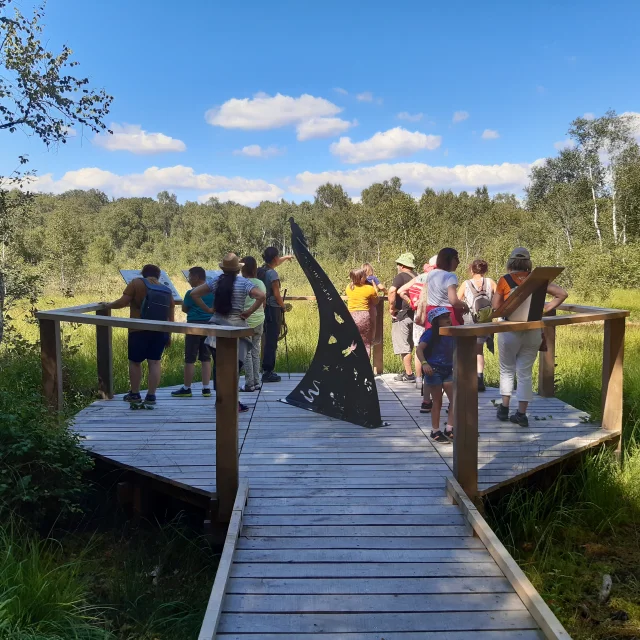 Des randonneurs découvrent la Tourbière de la Grande Pile à Saint-Germain - Vosges du Sud - Haute-Saône