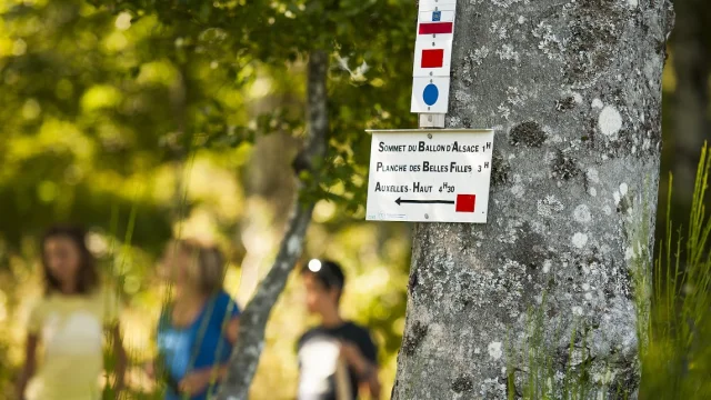 Signalétique de randonnée au Ballon d'Alsace - GR 59 - Vosges du Sud