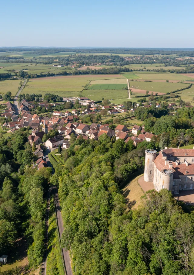 Vue aérienne du Château de Ray-sur-Saône, de la Saône, du village et des alentours - Vue sur La Voie Bleue - Vesoul - Val de Saône