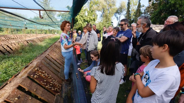 Un groupe de touristes visitent un élevage d'escargots. L'éleveuse présente son exploitation.