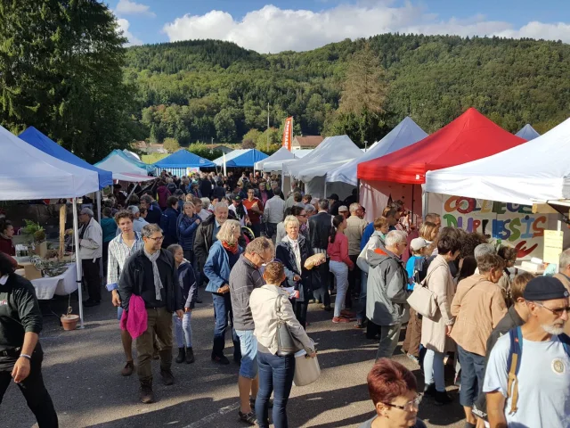 Le public découvre les stands de la foire des Bio Jours à Faucogney-et-la-Mer - Vosges du Sud - Haute-Saône