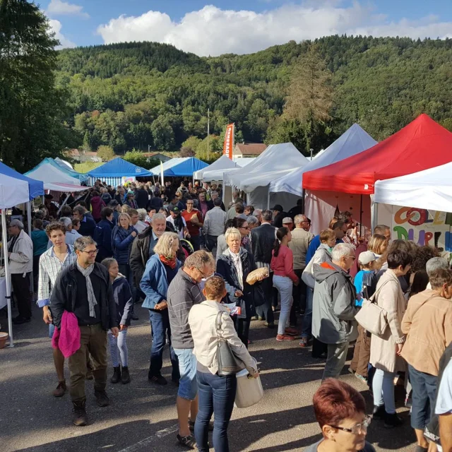 Le public découvre les stands de la foire des Bio Jours à Faucogney-et-la-Mer - Vosges du Sud - Haute-Saône