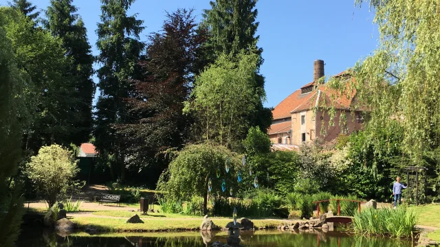 Le jardin japonais de la Rochère est un véritable havre de paix avec son bassin et ses arbres - La Rochère - Vosges du Sud