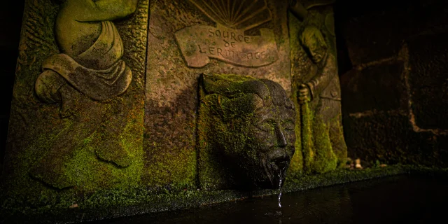 Source de l'Ermitage St Valbert qui coule via une tête sculptée - Vosges du Sud