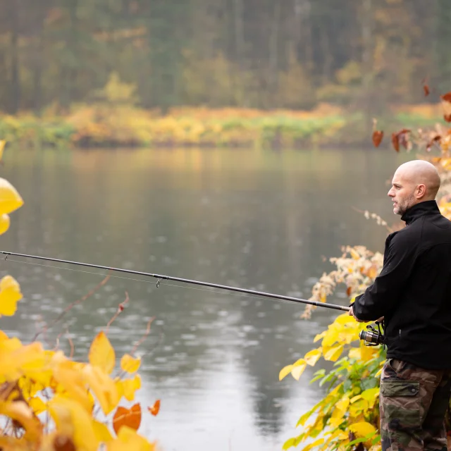 Un pêcheur pêche aux leurres dans un étang - Vosges du Sud