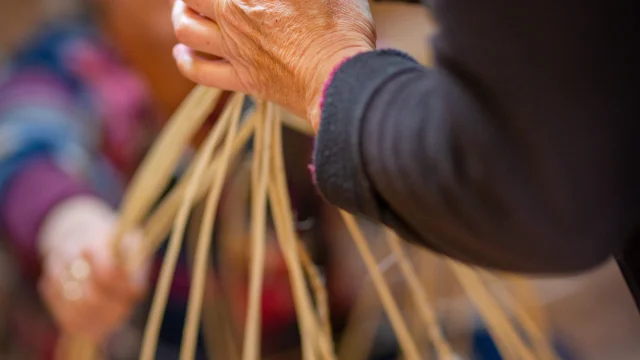 Une vannière tresse de l'osier - Haute-Saône