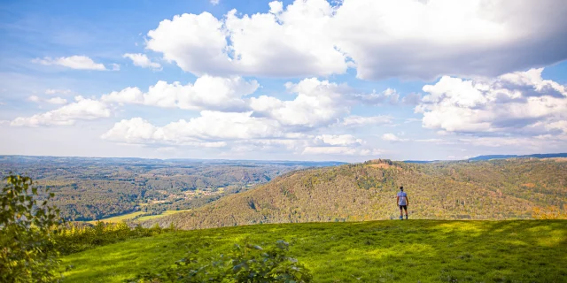 Un homme fait du Trail au Mont de Vannes, au cœur du Plateau des 1 000 étang , en forêt - Vue sur toute la vallée - Vosges du Sud