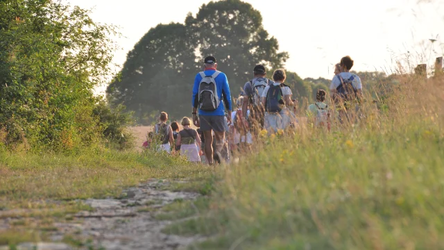 Un groupe de randonneurs marche en pleine nature.