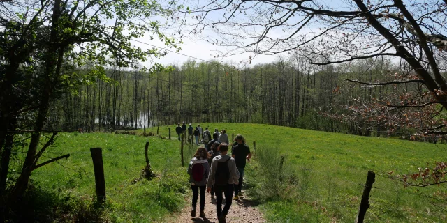 Un groupe de randonneurs sur un sentier en pleine nature à l'occasion du Festival Mille Pas aux 1000 Etangs - Plateau des 1000 étangs - Vosges du Sud