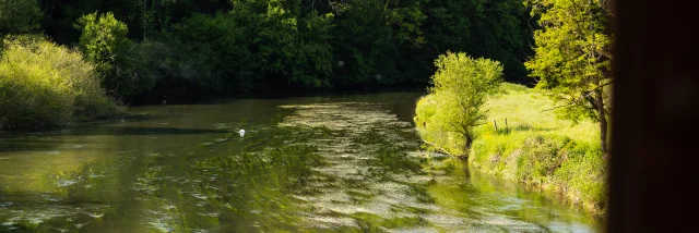 L'Ognon sur la Voie Verte Vallée de l'Ognon - Vallée de l'Ognon