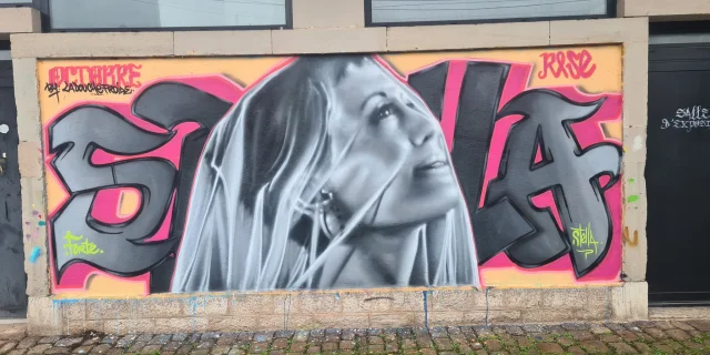 Œuvre de street art réalisée par La Douche Froide, représentant une femme couverte d'un voile blanc - Parcours Street de Lure - Vosges du Sud