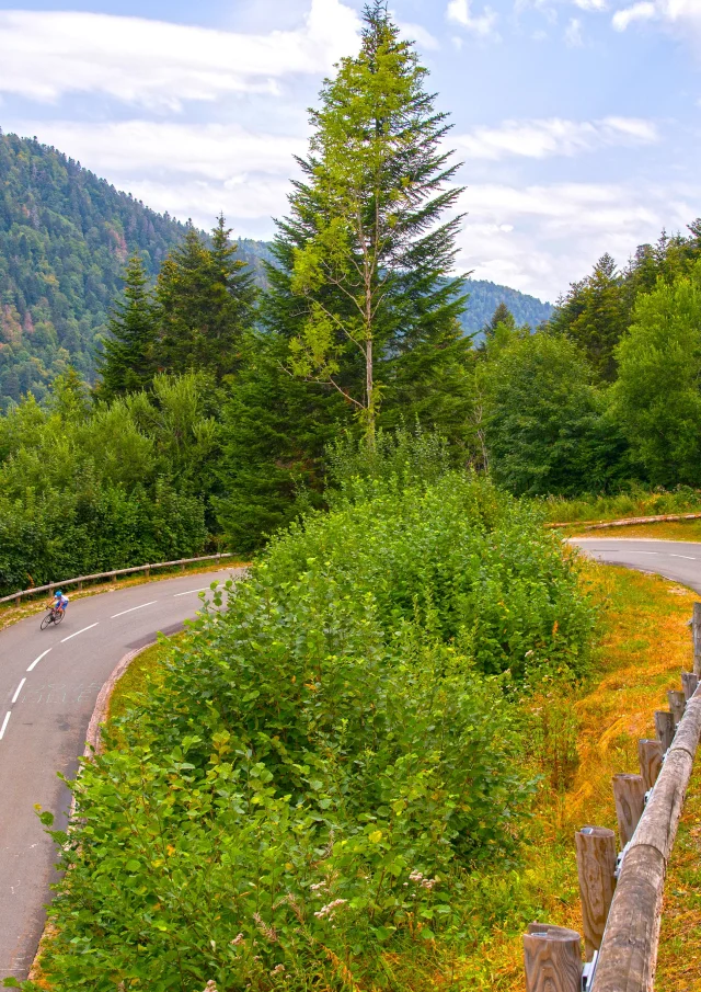 Un cycliste grimpe les lacets de La Planche des Belles Filles, étape mythique du Tour de France - Vosges du Sud, Haute-Saône