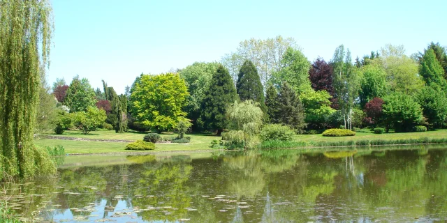 Vue sur l'étange et la végétation du Parc de l'Etang à Battrans - Vesoul-Val de Saône