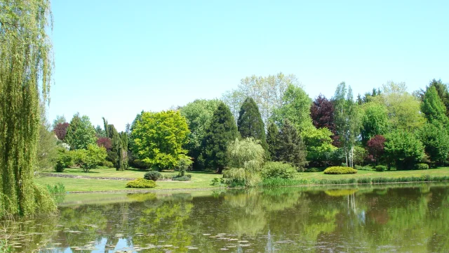 Vue sur l'étange et la végétation du Parc de l'Etang à Battrans - Vesoul-Val de Saône