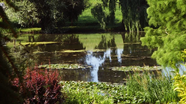 Parc de l'Etang de Battrans - Vesoul - Val de Saône