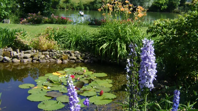 Vue sur l'étange et la végétation du Parc de l'Etang à Battrans - Vesoul-Val de Saône