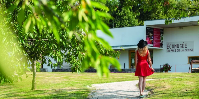 Une femme avec une robe rouge se promène dans les cerisiers devant l'écomusée du Pays de la Cerise - Fougerolles - Vosges du Sud