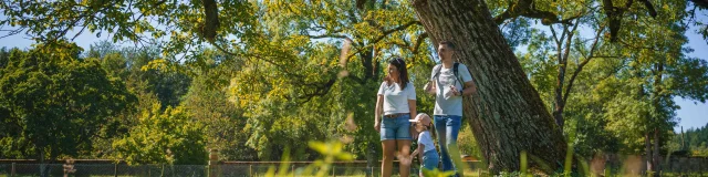 Une famille se promène dans le Domaine du Parc aux Daims - Vesoul - Val de Saône