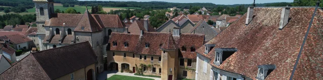 Vue aérienne du château de Pin - Cité de caractère - Vallée de l'Ognon