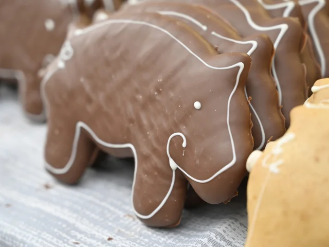 Le traditionnel cochon de la Sainte-Catherine à Vesoul-, en pain d'épices et recouvert d'une fine couche de chocolat - Vesoul-Val-de Saône