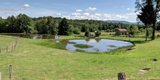 Vue d'ensemble sur des prairies, un étang, la forêt et en arrière-plan, les Ballons des Vosges - Plateau des 1000 Etangs, Vosges du Sud