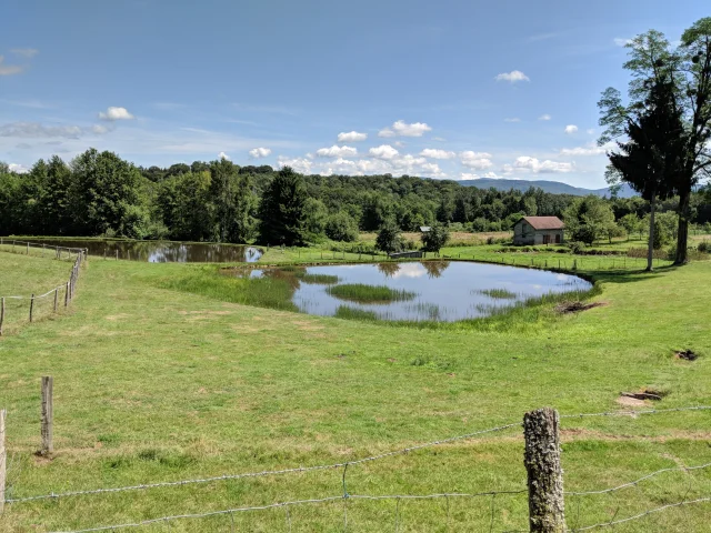 Vue d'ensemble sur des prairies, un étang, la forêt et en arrière-plan, les Ballons des Vosges - Plateau des 1000 Etangs, Vosges du Sud