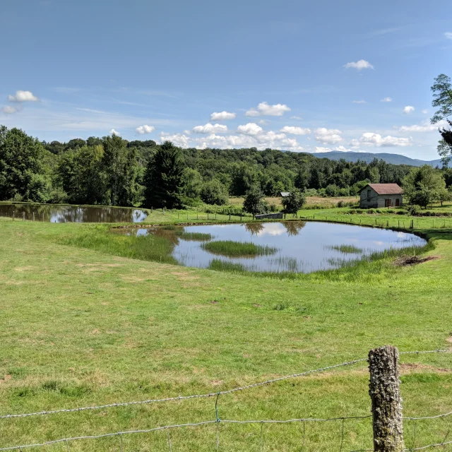 Vue d'ensemble sur des prairies, un étang, la forêt et en arrière-plan, les Ballons des Vosges - Plateau des 1000 Etangs, Vosges du Sud