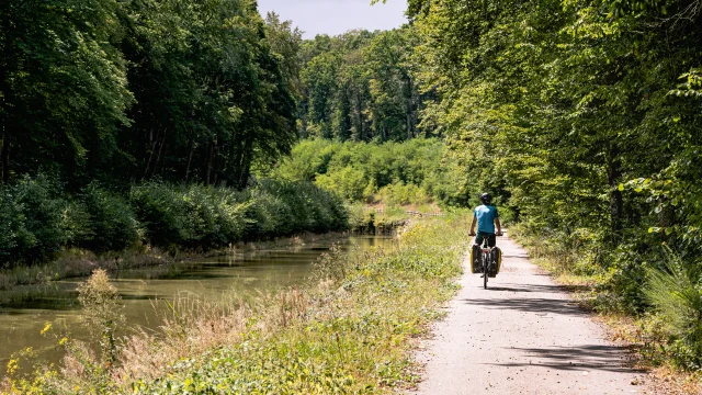 Un cycliste pédale sur La Voie Bleue, le long de la Saône - Vesoul-Val de Saône