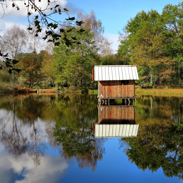 Une cabane sur pilotis trône au milieu d'un étang à Ecromagny - Plateau des 1000 Etangs, Vosges du Sud