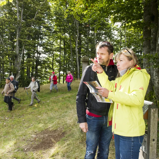 Wandelwegwijzers bij Ballon d'Alsace - GR 59 - Vogezen Sud