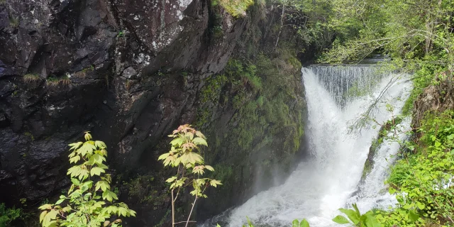 Cascade du Saut de l'Ognon à Servance - Plateau des 1000 Etangs, Vosges du Sud