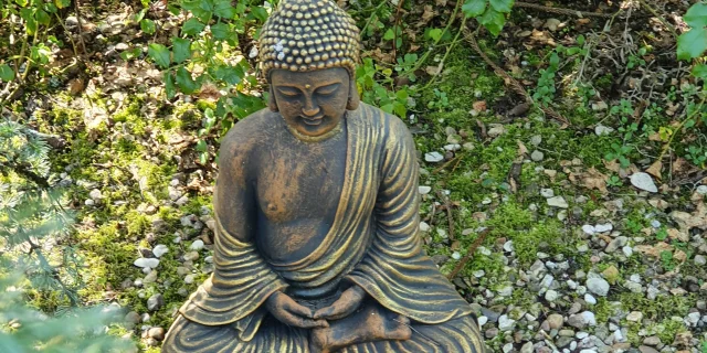 Bouda dans un jardin japonais aux jardins aquatique acorus - Vallée de l'Ognon